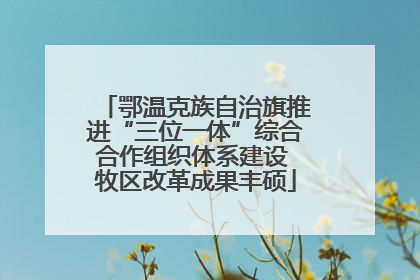 鄂温克族自治旗推进“三位一体”综合合作组织体系建设 牧区改革成果丰硕
