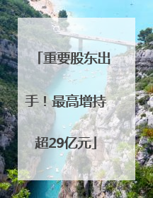 重要股东出手！最高增持超29亿元