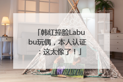 韩红撞脸Labubu玩偶，本人认证：这太像了！