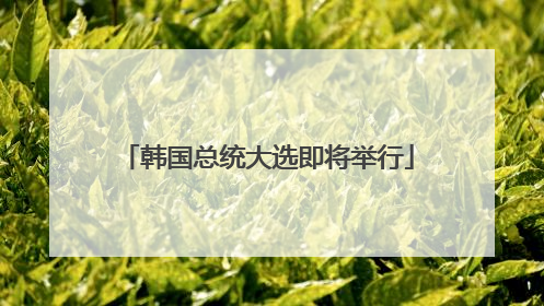 韩国总统大选即将举行