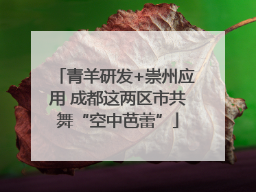 青羊研发+崇州应用 成都这两区市共舞“空中芭蕾”