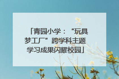 青园小学：“玩具梦工厂”跨学科主题学习成果闪耀校园