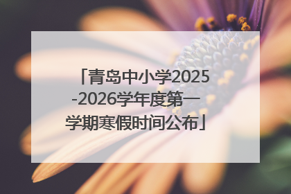 青岛中小学2025-2026学年度第一学期寒假时间公布