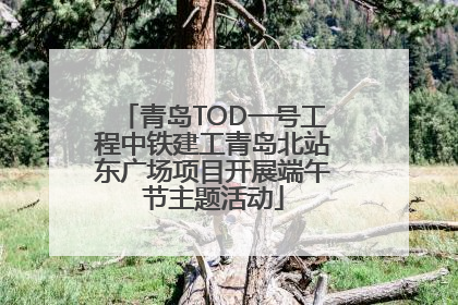 青岛TOD一号工程中铁建工青岛北站东广场项目开展端午节主题活动