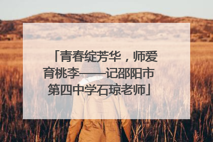 青春绽芳华，师爱育桃李——记邵阳市第四中学石琼老师