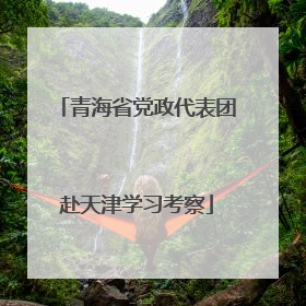 青海省党政代表团赴天津学习考察