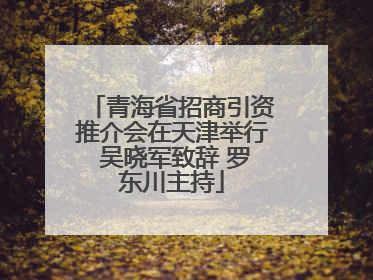 青海省招商引资推介会在天津举行 吴晓军致辞 罗东川主持
