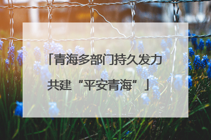 青海多部门持久发力共建“平安青海”