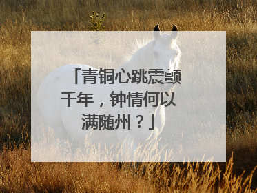 青铜心跳震颤千年，钟情何以满随州？