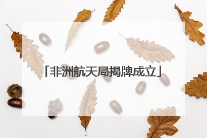 非洲航天局揭牌成立
