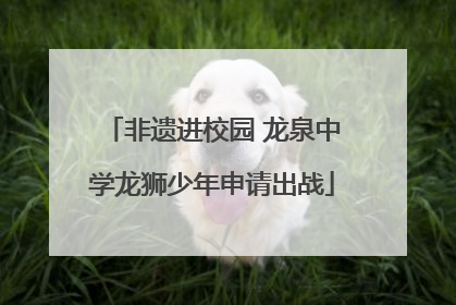非遗进校园 龙泉中学龙狮少年申请出战
