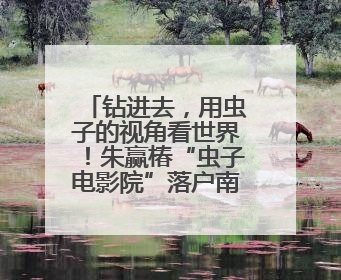 钻进去，用虫子的视角看世界！朱赢椿“虫子电影院”落户南京幼儿园