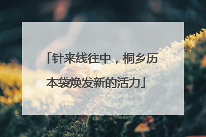 针来线往中，桐乡历本袋焕发新的活力