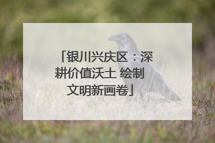 银川兴庆区：深耕价值沃土 绘制文明新画卷