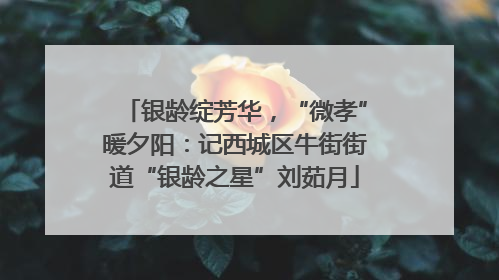 银龄绽芳华，“微孝”暖夕阳：记西城区牛街街道“银龄之星”刘茹月
