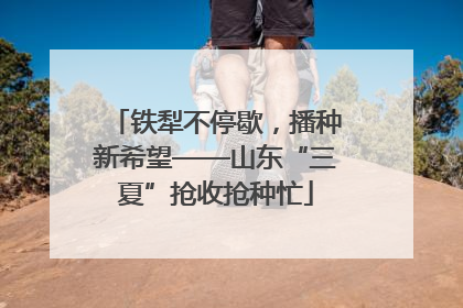 铁犁不停歇，播种新希望——山东“三夏”抢收抢种忙