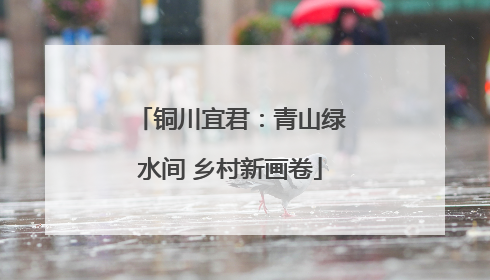 铜川宜君：青山绿水间 乡村新画卷