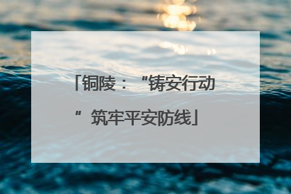 铜陵：“铸安行动”筑牢平安防线