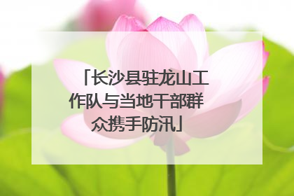 长沙县驻龙山工作队与当地干部群众携手防汛