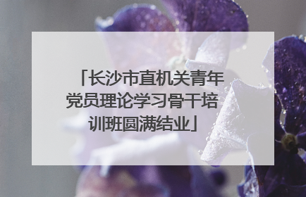 长沙市直机关青年党员理论学习骨干培训班圆满结业