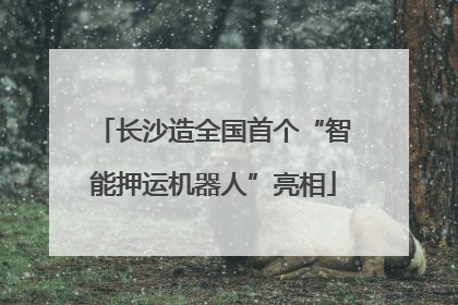 长沙造全国首个“智能押运机器人”亮相
