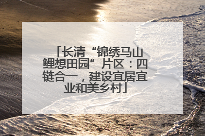 长清“锦绣马山 鲤想田园”片区：四链合一，建设宜居宜业和美乡村
