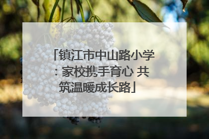 镇江市中山路小学：家校携手育心 共筑温暖成长路