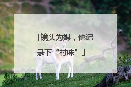 镜头为媒，他记录下“村味”