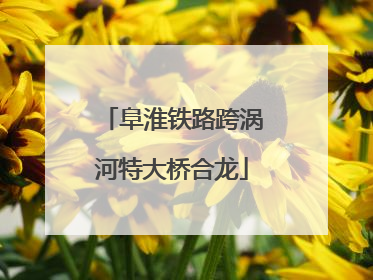 阜淮铁路跨涡河特大桥合龙