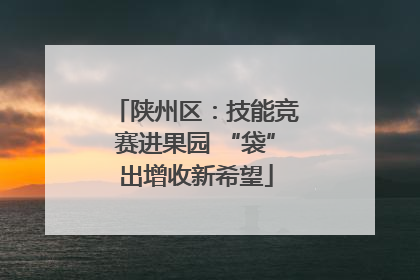 陕州区：技能竞赛进果园 “袋”出增收新希望