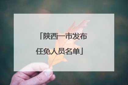 陕西一市发布任免人员名单