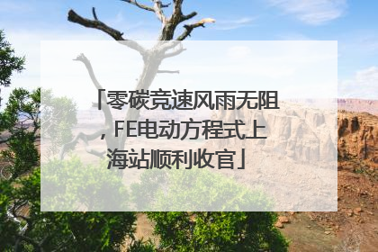 零碳竞速风雨无阻，FE电动方程式上海站顺利收官