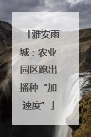 雅安雨城：农业园区跑出播种“加速度”