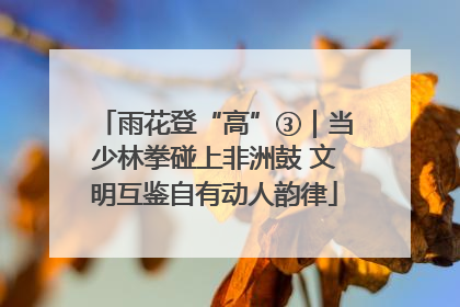 雨花登“高”③｜当少林拳碰上非洲鼓 文明互鉴自有动人韵律