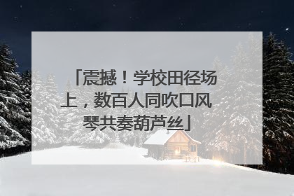 震撼！学校田径场上，数百人同吹口风琴共奏葫芦丝