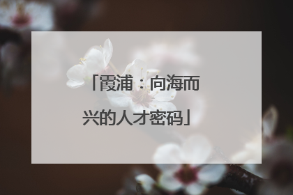 霞浦：向海而兴的人才密码