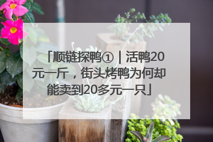 顺链探鸭①｜活鸭20元一斤，街头烤鸭为何却能卖到20多元一只