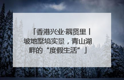 香港兴业·耦贤里丨坡地墅境实景，青山湖畔的“度假生活”