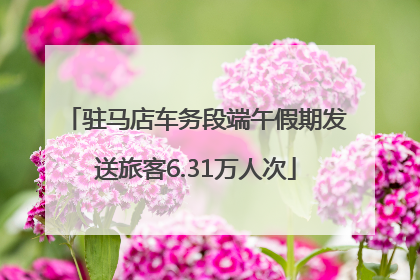 驻马店车务段端午假期发送旅客6.31万人次