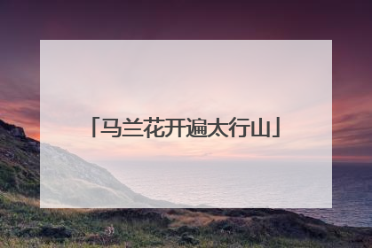 马兰花开遍太行山