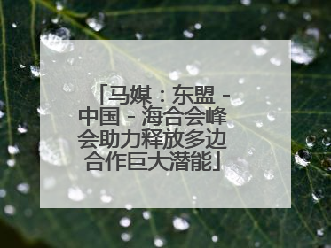 马媒：东盟－中国－海合会峰会助力释放多边合作巨大潜能
