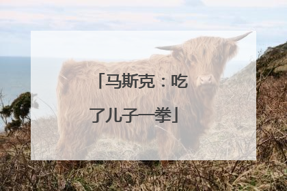 马斯克：吃了儿子一拳