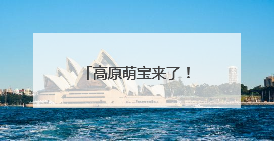 高原萌宝来了！若尔盖湿地首批黑颈鹤雏鸟破壳