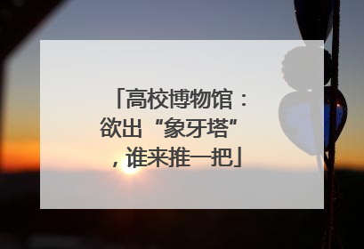 高校博物馆：欲出“象牙塔”，谁来推一把