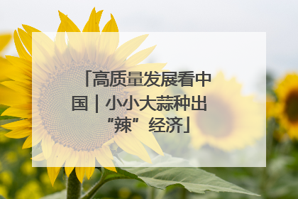 高质量发展看中国｜小小大蒜种出“辣”经济