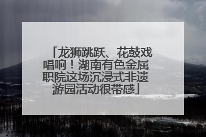龙狮跳跃、花鼓戏唱响！湖南有色金属职院这场沉浸式非遗游园活动很带感