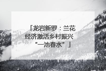 龙岩新罗：兰花经济激活乡村振兴“一池春水”
