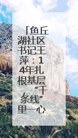 鱼丘湖社区书记王萍：14年扎根基层，“千条线”里一心为民