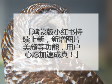 鸿蒙版小红书持续上新，新增图片美颜等功能，用户心愿加速成真！