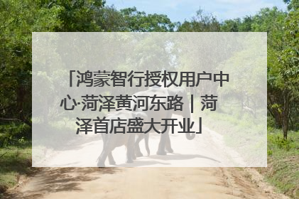 鸿蒙智行授权用户中心·菏泽黄河东路｜菏泽首店盛大开业